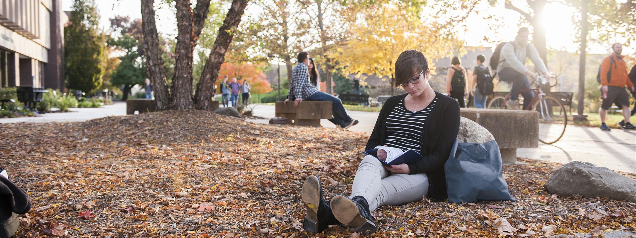 Student studying on an autumn day on campus.