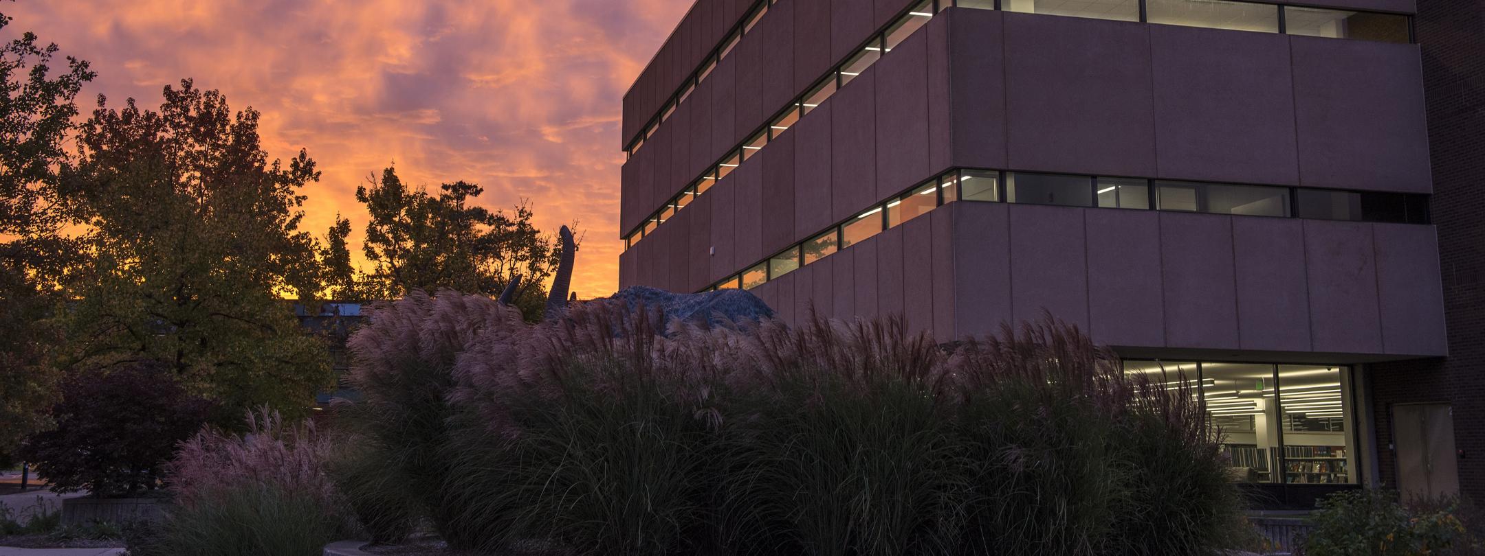 Sunrise on campus with the Helmke library in view.