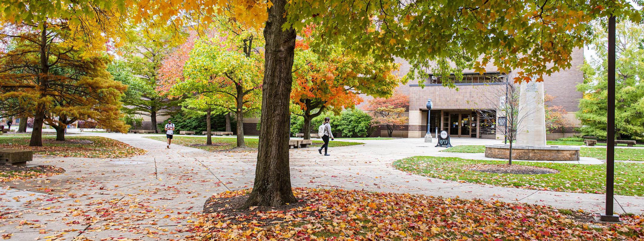 Autumn day on campus.