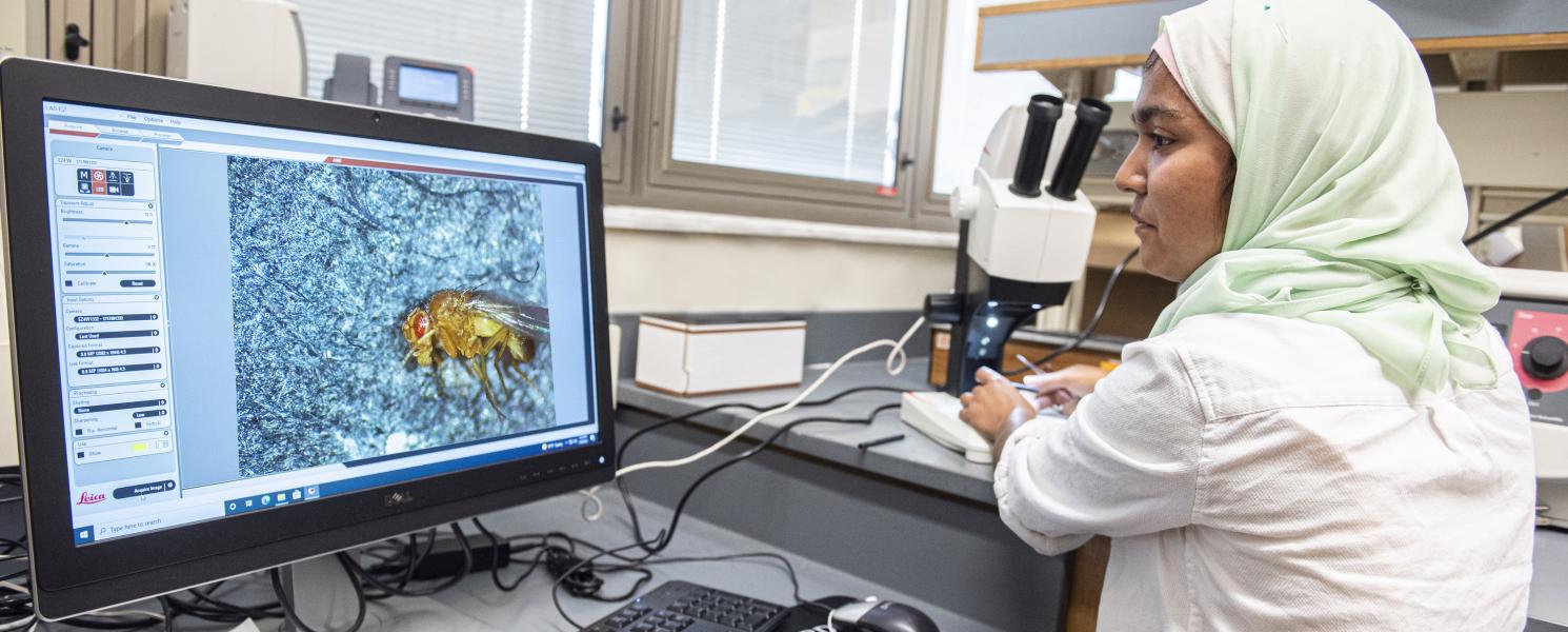 A Biology student doing research in a lab