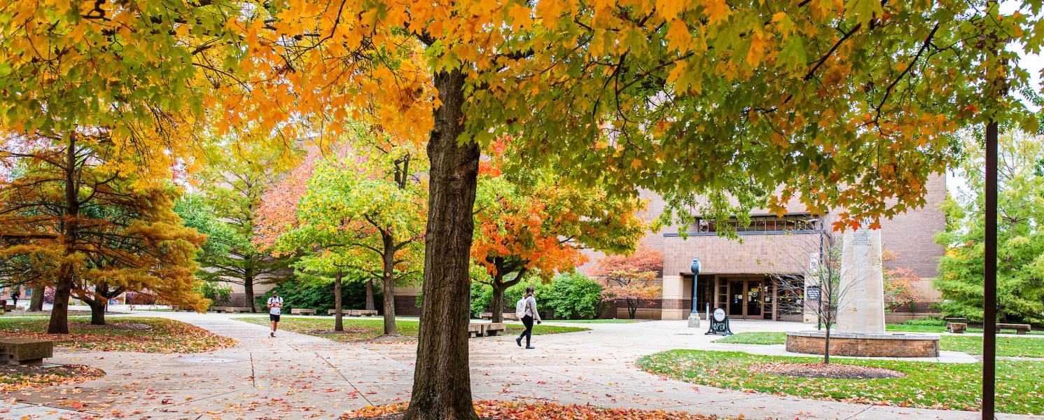 Campus in the fall