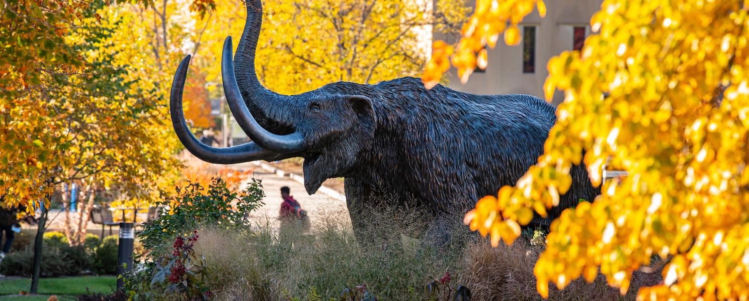 Mastodon in the fall