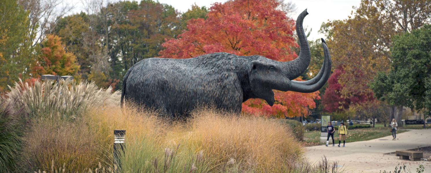 Bronze mastodon statue on campus on an autumn afternoon.