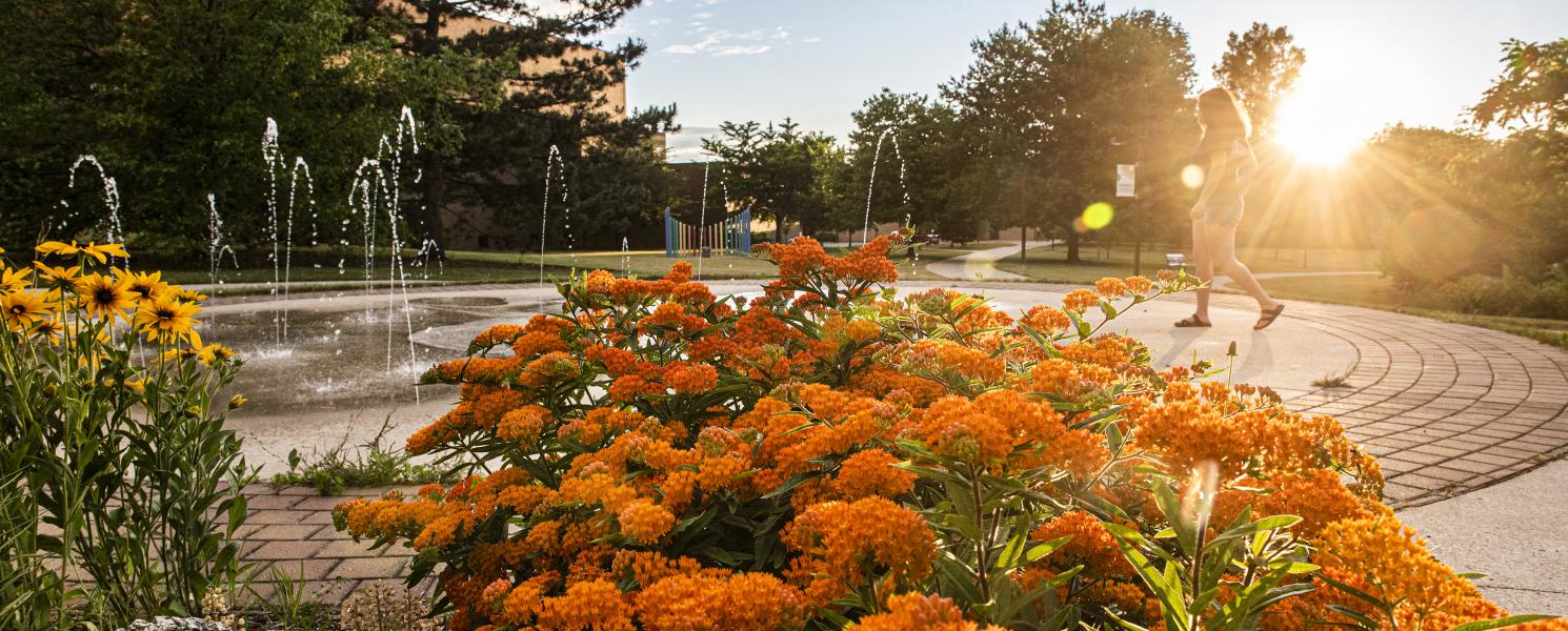 Autumn late afternoon on campus.