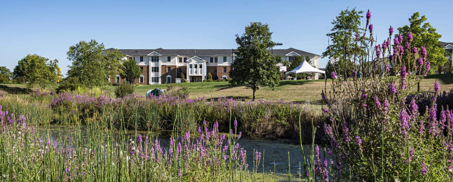 A view from across the creek on the campus of student housing.