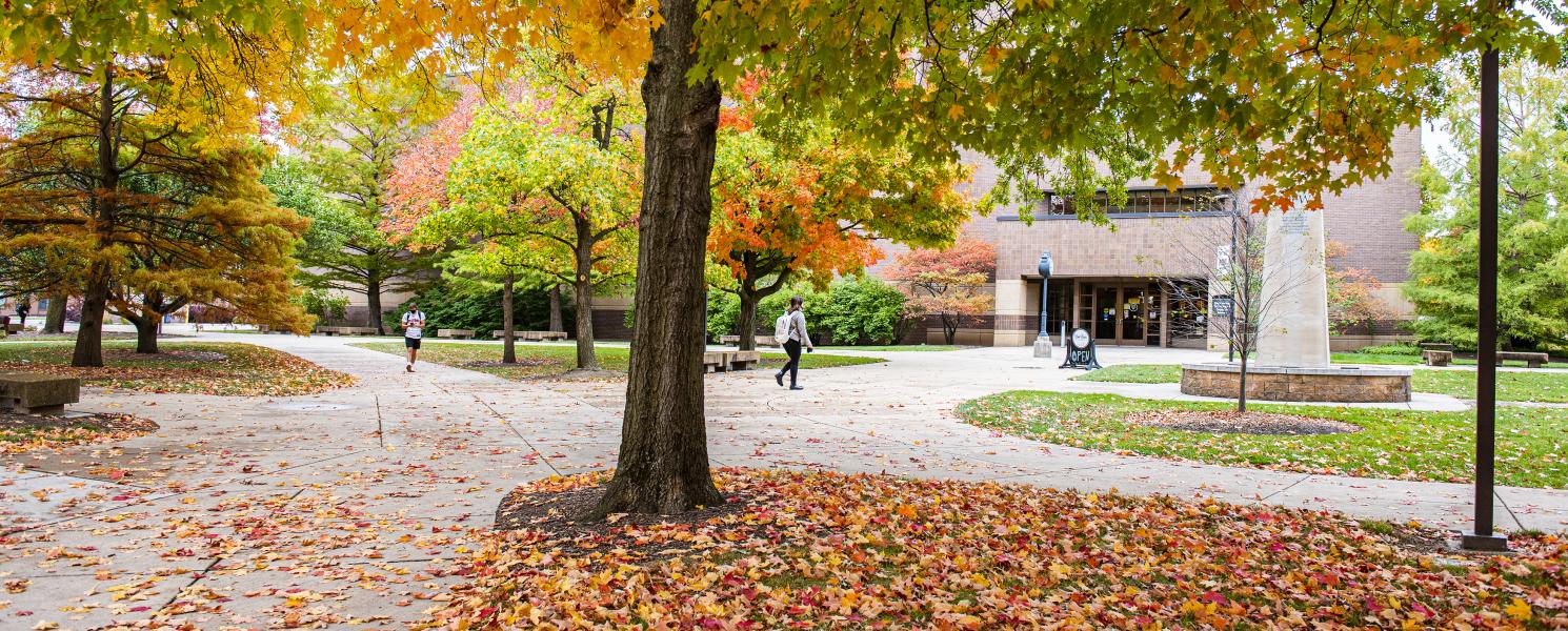 Autumn day on campus.