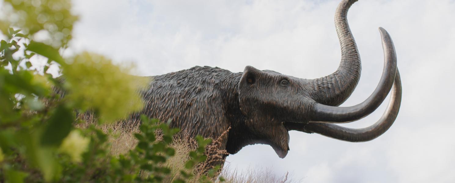 Statue of School Mastodon