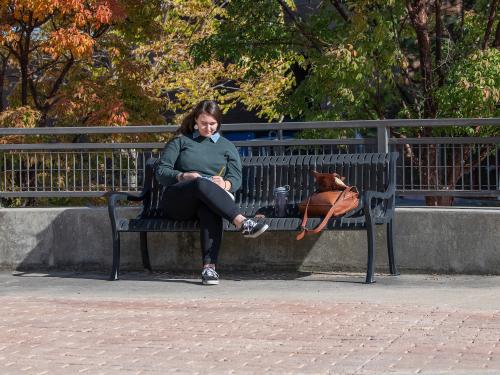 Student studying outdoors