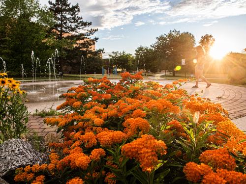 Flowers on campus