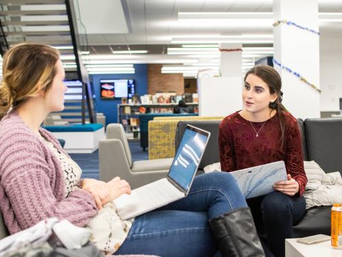 Students studying together