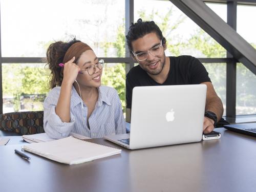 Students studying together.