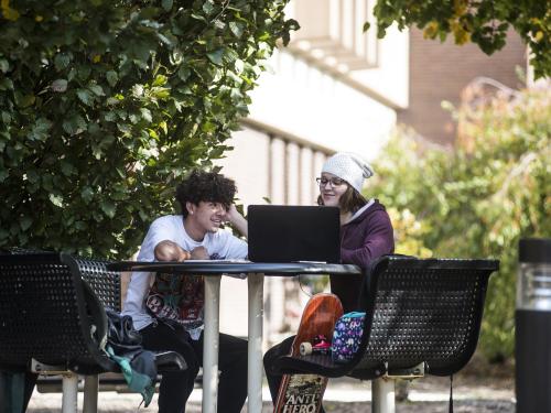 Students studying together.