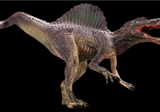 photo of a Spinosaurus