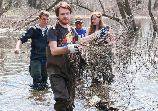 Eagle Marsh turtle census