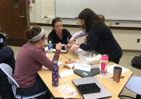 Students work together to design and improve a flexible cast as part of the engineering design process in the Human Body module.