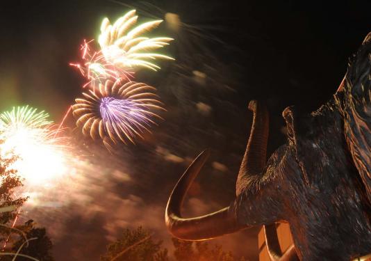 Fireworks light up the night sky in front of the bronze mastodon statue