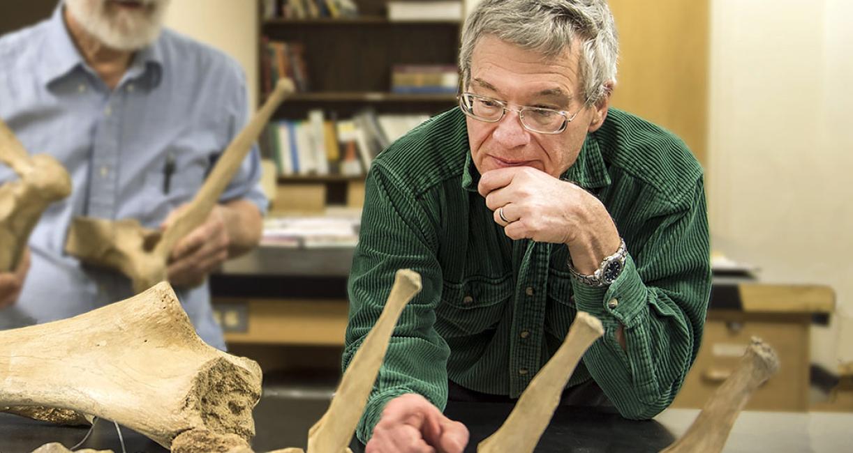 James Farlow is looking at mastodon bones