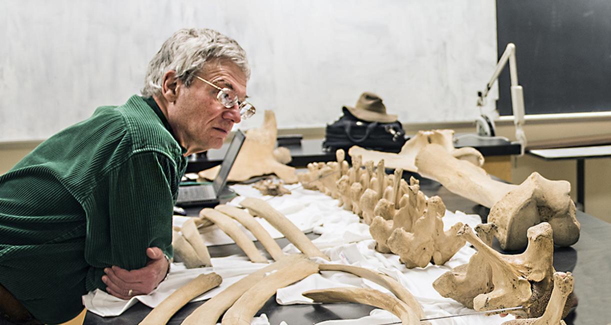 James Farlow is looking at mastodon bones