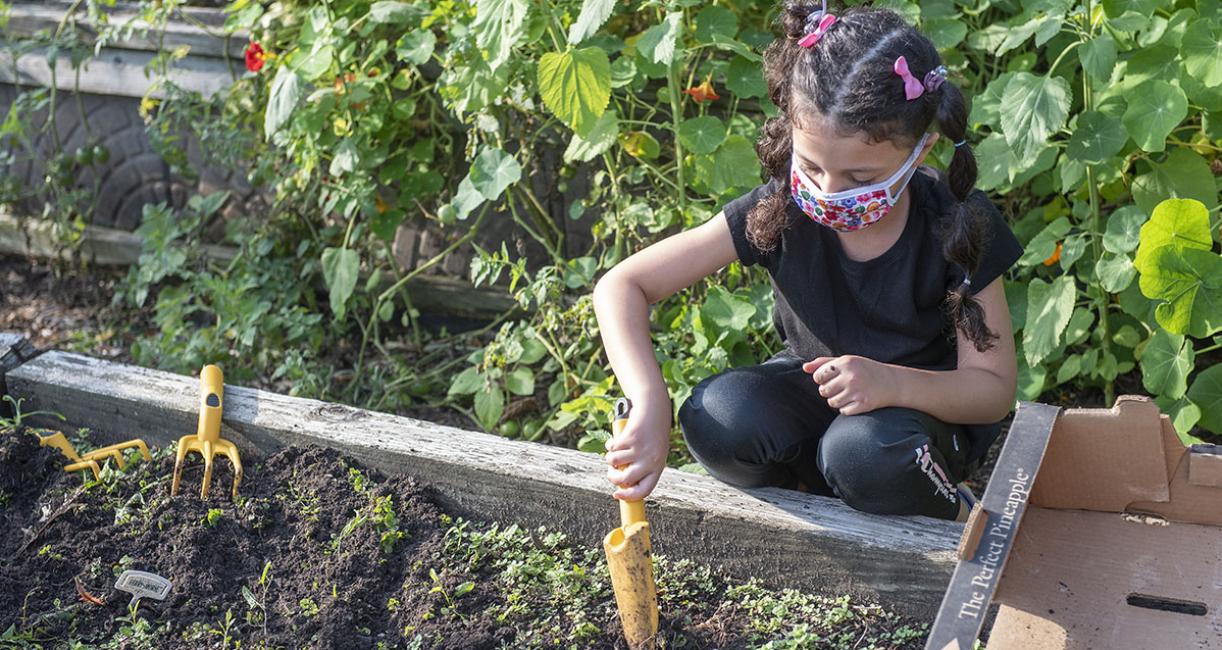 A child is working in the School of Education's urban garden.