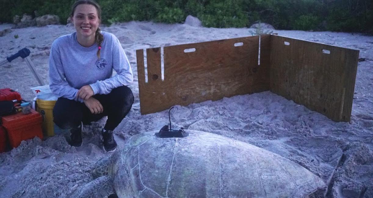 Allyssa Hennessey and a sea turtle