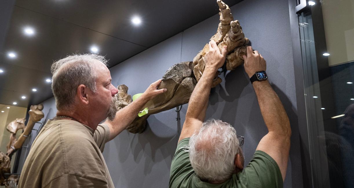 Garth Dallman, left, and Mike Thom of Research Casting International precisely place the left front foot of Donna for the display on Tuesday, Aug. 13.