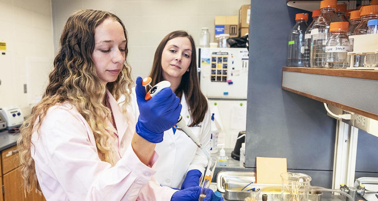 Student Allison Renno and Assistant Professor Lisa McLellan